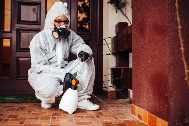 Reliable Cockroach Control contractor in Umatilla, FL by Nex Pest Control